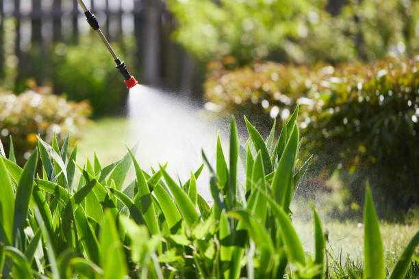 24/7 Emergency Mosquito Control experts in Ocean Shores, WA
