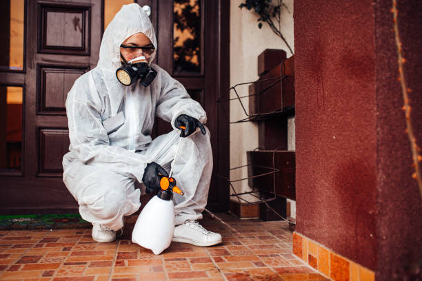 Reliable Mosquito Control contractor in Ocean Shores, WA by Show Me Pest Control